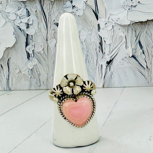 Pink Conch Collection