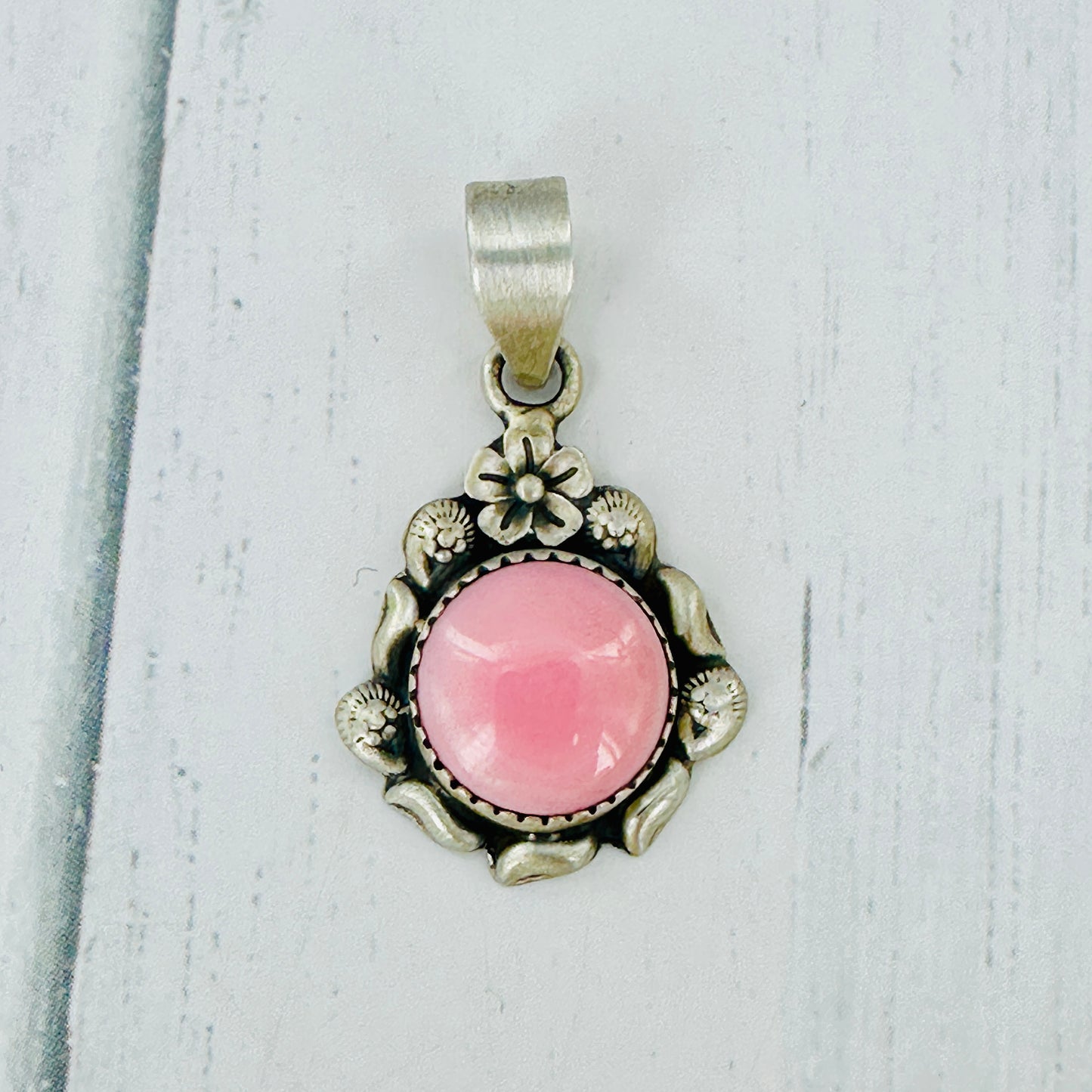 Pink Conch Collection