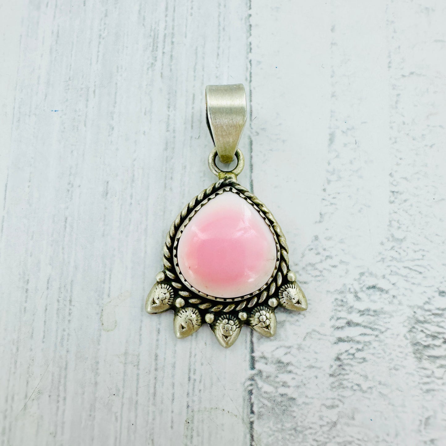 Pink Conch Collection