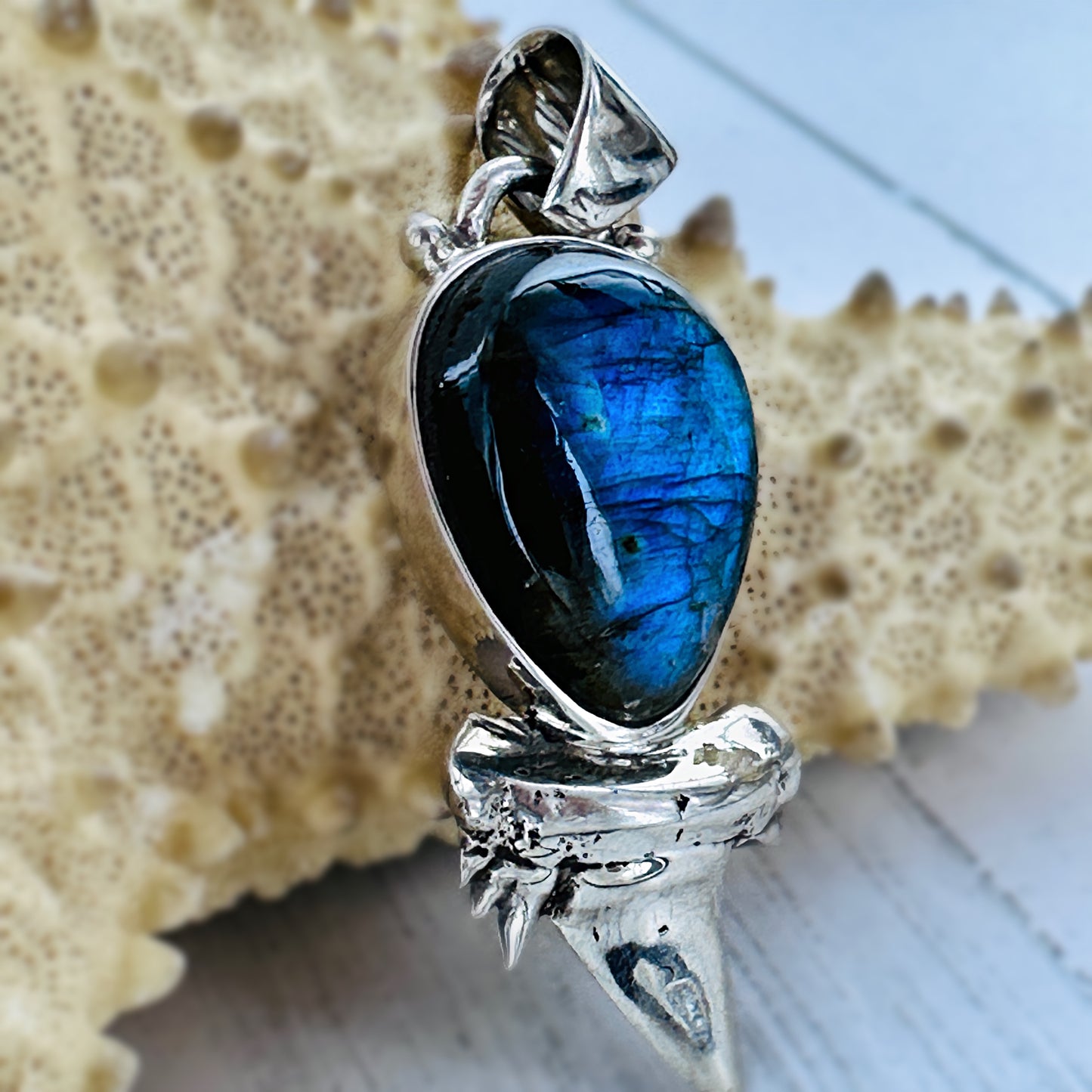 Sharks Tooth: Labradorite