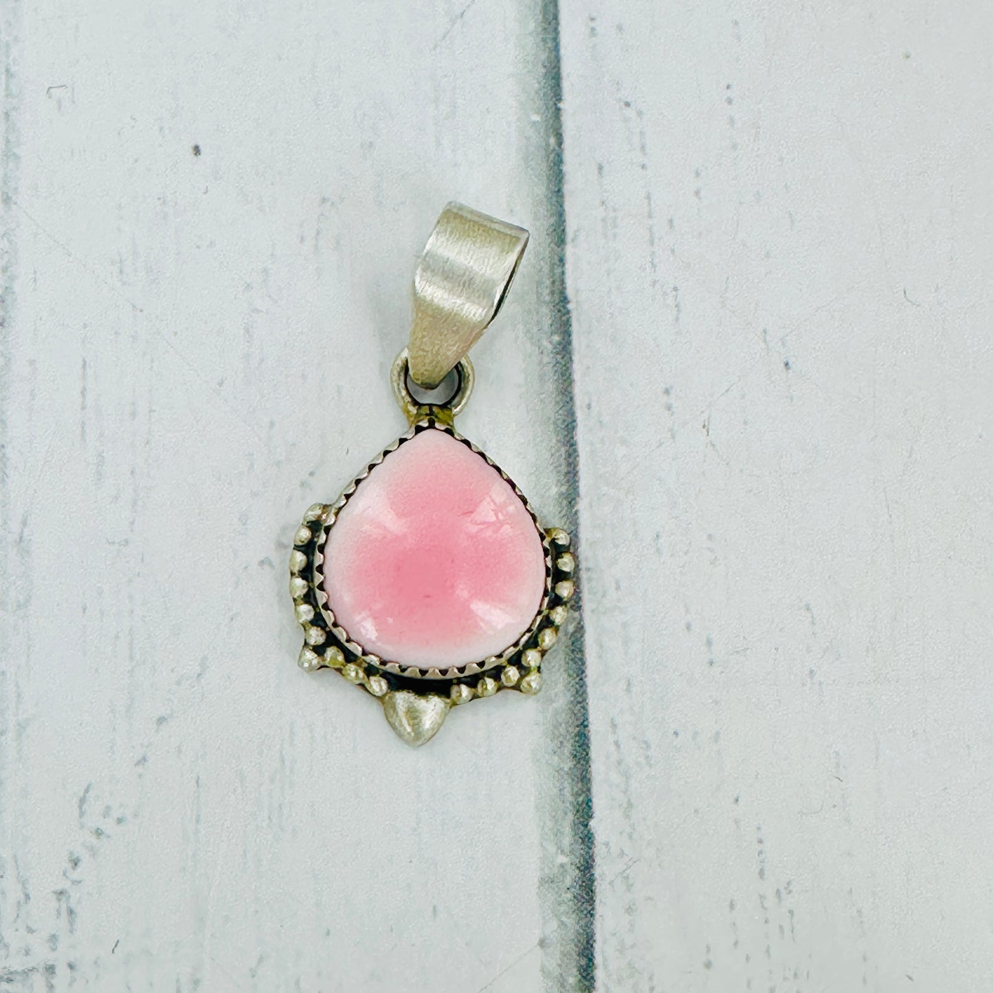 Pink Conch Collection
